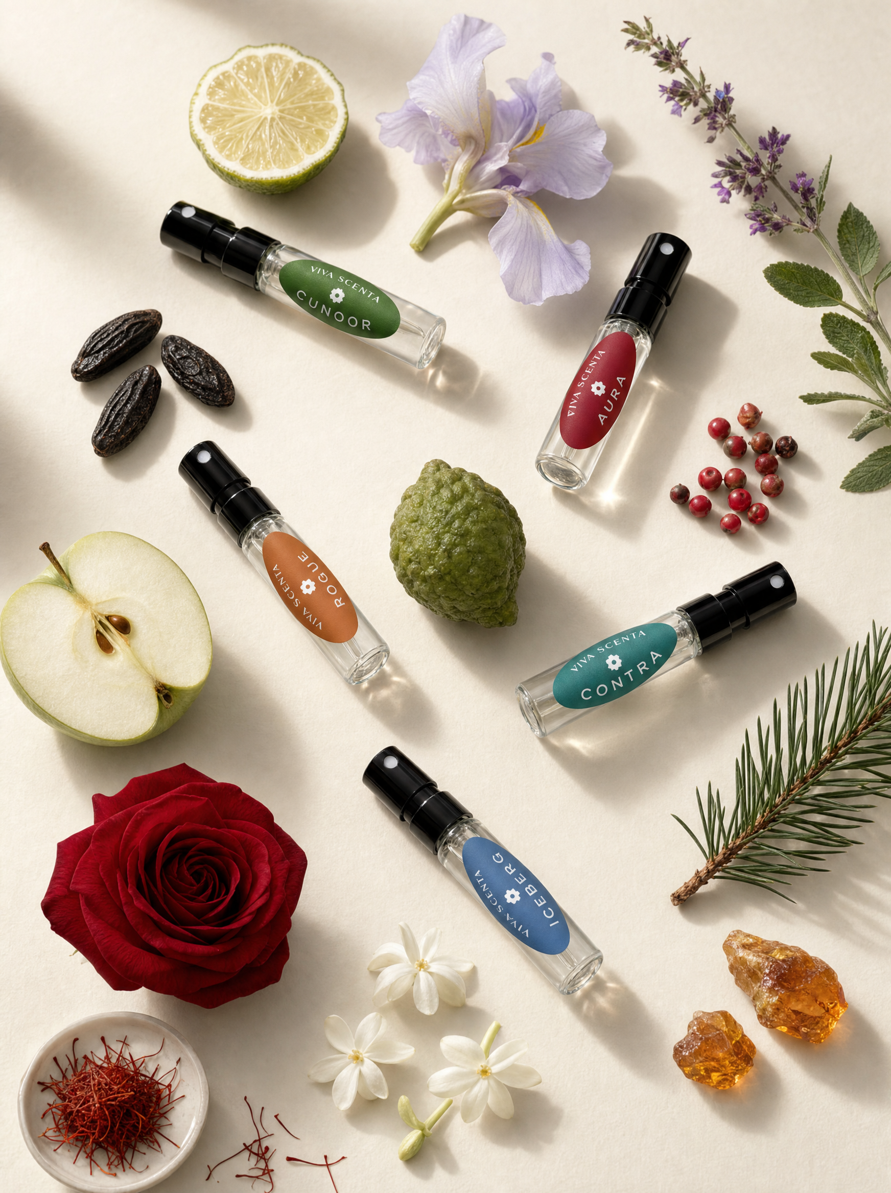 Discovery Scent Set, five 2 ml vials among their ingredients